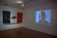 17_tulca2011video-and-flag.jpg